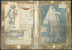 Zeemonsters. Pagina’s uit het Visboek van Adriaen Coenensz. van Schilperoort.