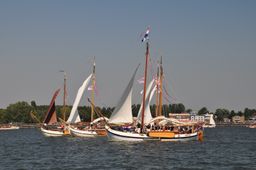 Vlootschouw van tjalken. SAIL Amsterdam, 23 augustus 2015.